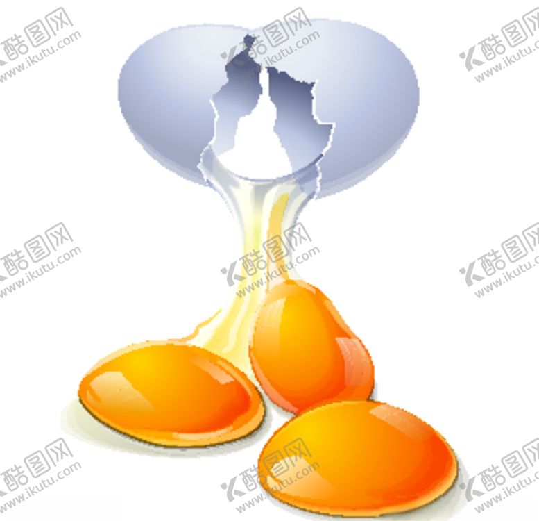 编号：66598106282303566236【酷图网】源文件下载-鸡蛋蛋黄