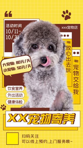 宠物寄养海报平台俱乐部生活馆