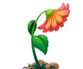 矢量花