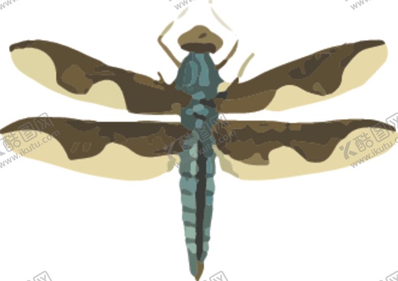 编号：53855010020042468022【酷图网】源文件下载-蜻蜓昆虫插画