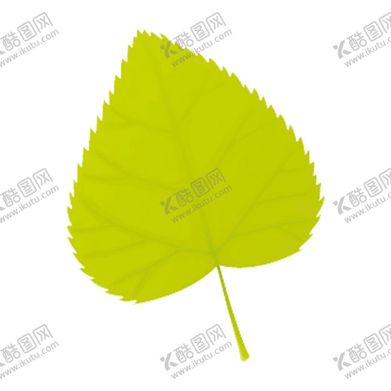 编号：14463109140429282194【酷图网】源文件下载-叶子