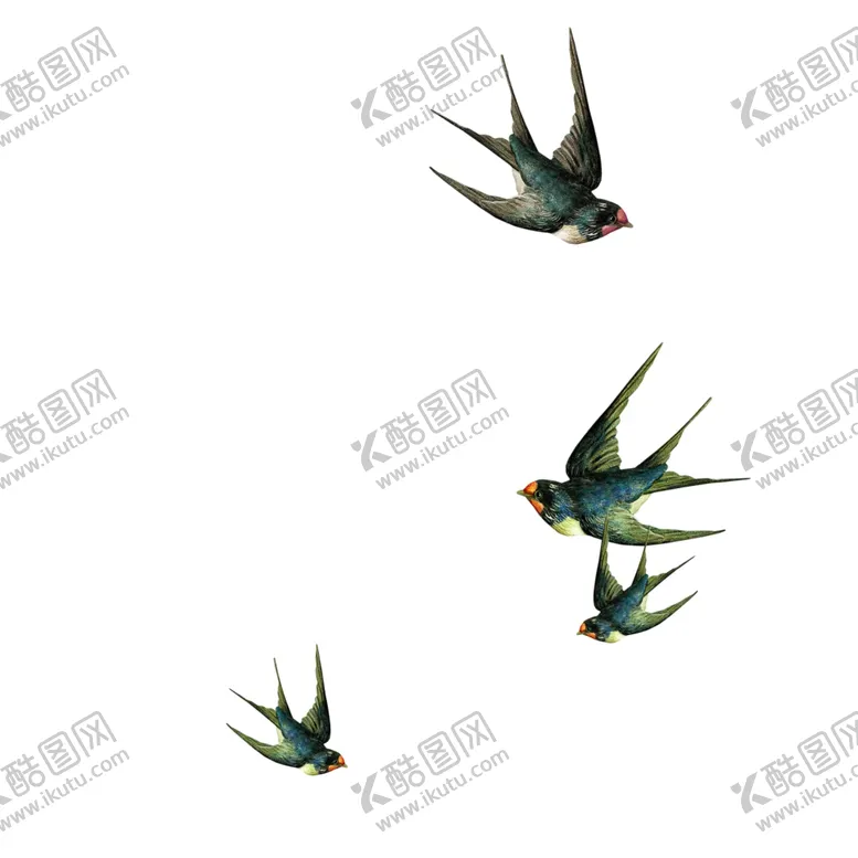 编号：65430205021243261926【酷图网】源文件下载-卡通插画装饰燕子元素