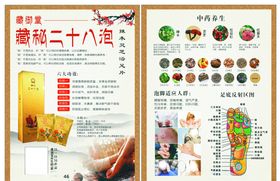 中医中药宣传单