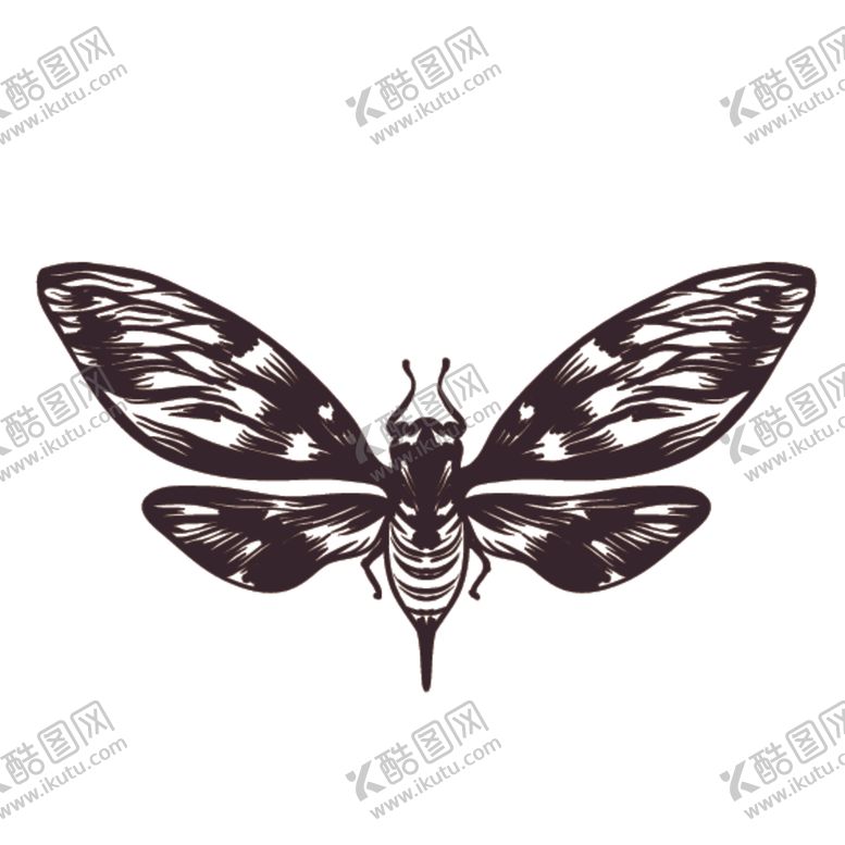 编号：13942610201535189777【酷图网】源文件下载-素描绘画昆虫蝴蝶