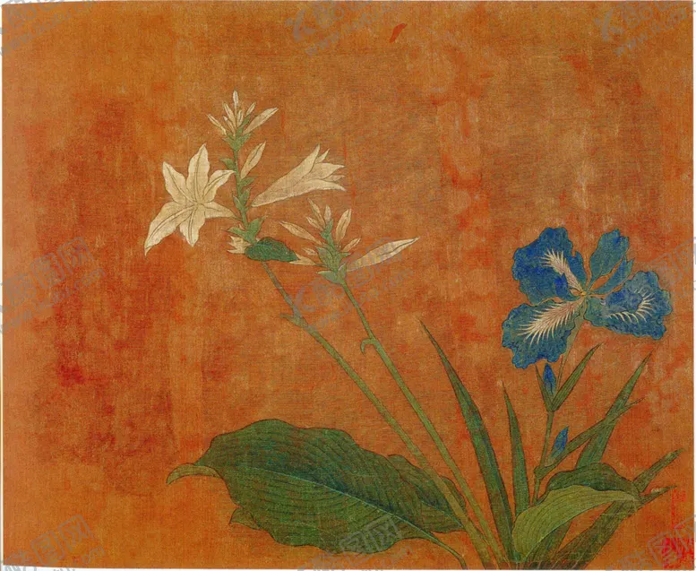 编号：90534006261810212721【酷图网】源文件下载-黄居寀花卉写生绘画