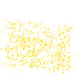 金粉漂浮物