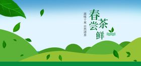 春茶尝鲜