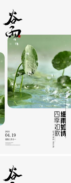 谷雨节气海报叶子二十四滴荷叶