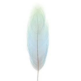 水彩创意羽毛图案