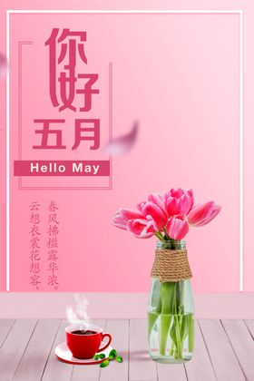 你好五月