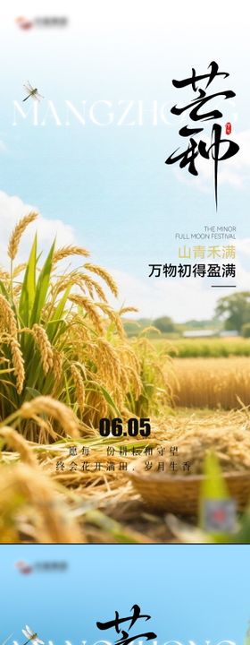 芒种节气海报