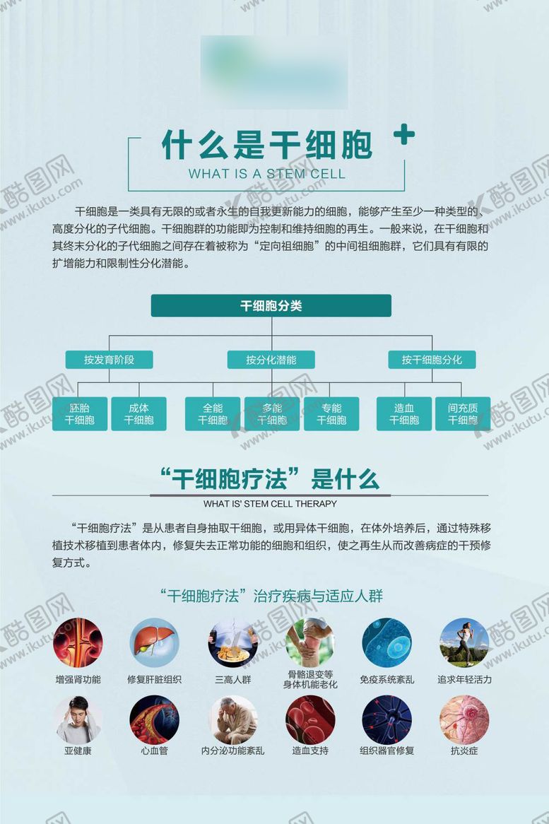 编号：75714909291655012289【酷图网】源文件下载-干细胞产品介绍宣传海报