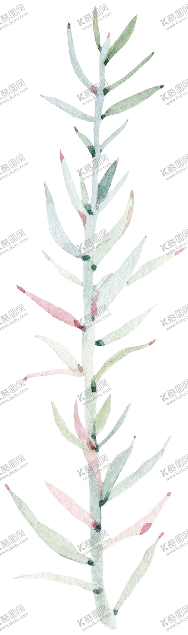 编号：76804310141011498673【酷图网】源文件下载-绿色装饰