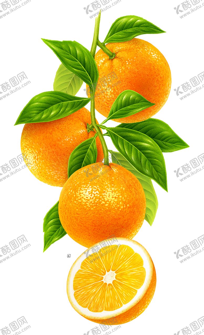 编号：29083710291049122820【酷图网】源文件下载-水果