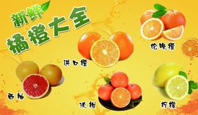 水果吊牌