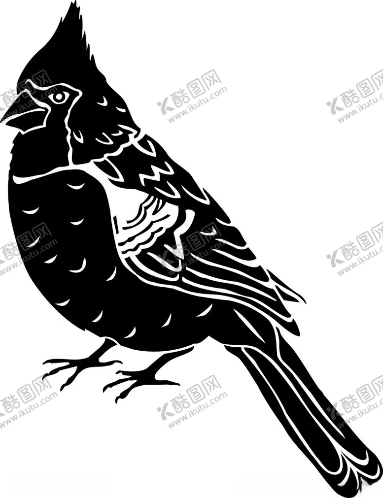 编号：81145102162313374521【酷图网】源文件下载-手绘鸟类插画