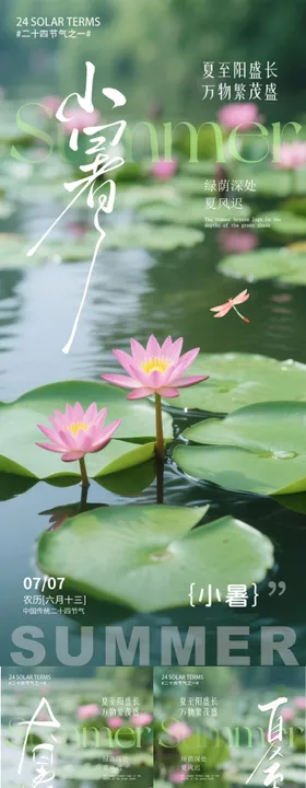 夏至芒种大暑小暑夏季嘉年华系列节气