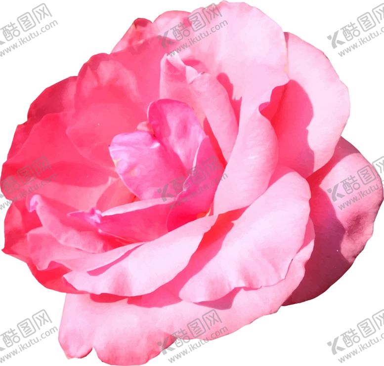 编号：26981007082216218188【酷图网】源文件下载-玫瑰花