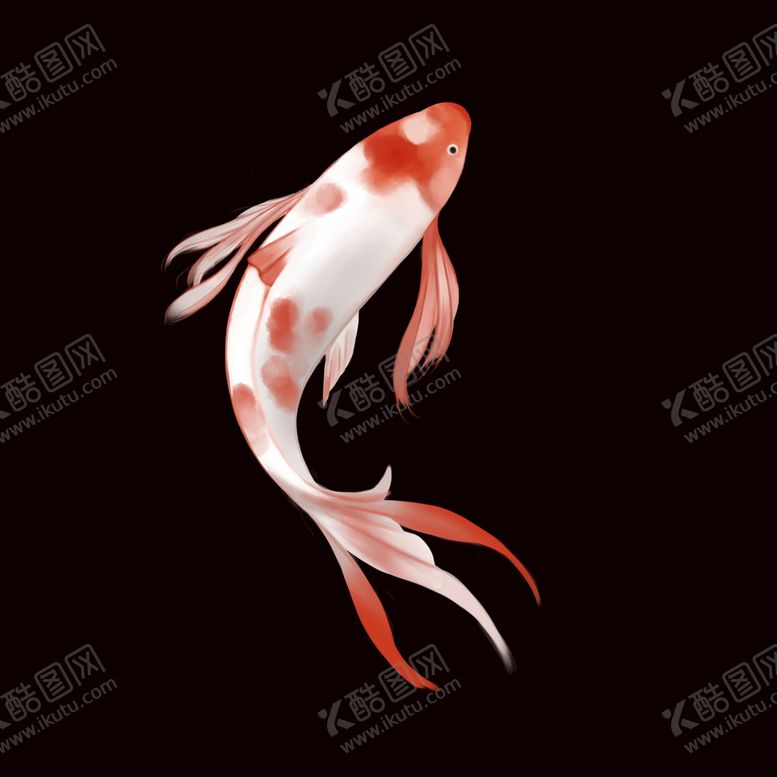 编号：62341909231041431529【酷图网】源文件下载-锦鲤