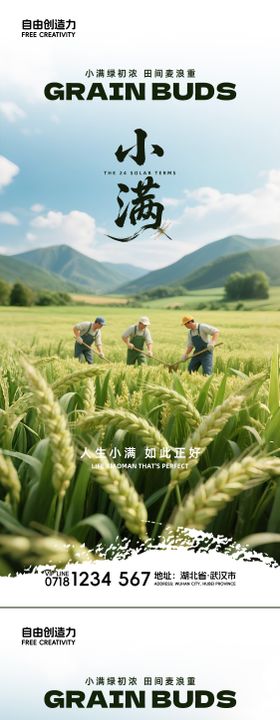 小满节气系列海报田地清新二十四麦穗