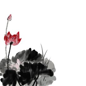 荷花素材背景叶插画插画夏至