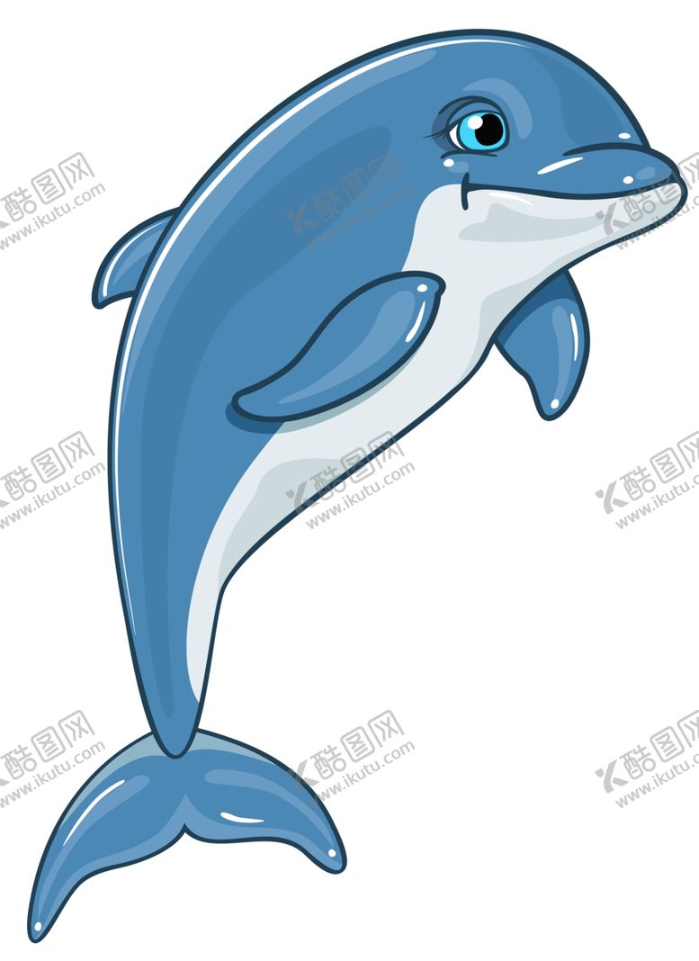编号：79703009280606386438【酷图网】源文件下载-海豚