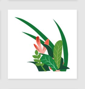 花草