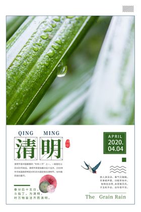 2023清明节踏青海报