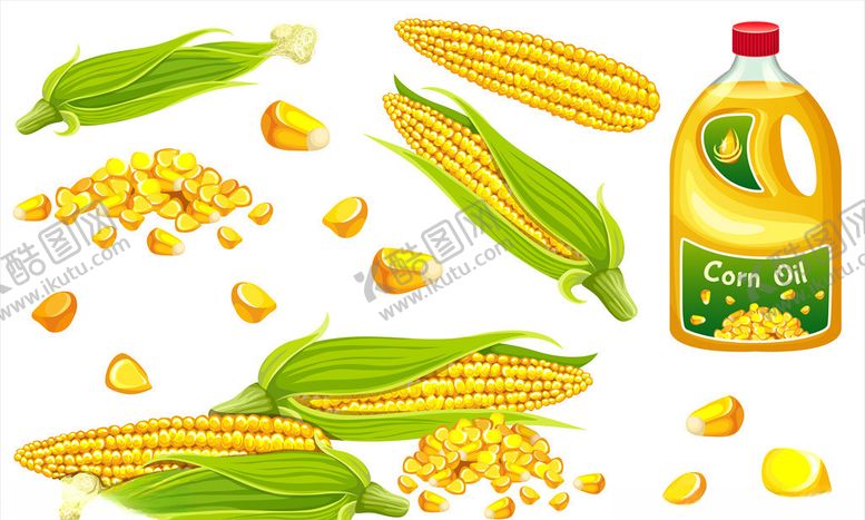 编号：72530910142359521227【酷图网】源文件下载-玉米油海报