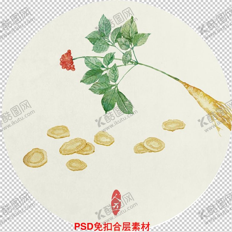 编号：14396701202021041715【酷图网】源文件下载-人参