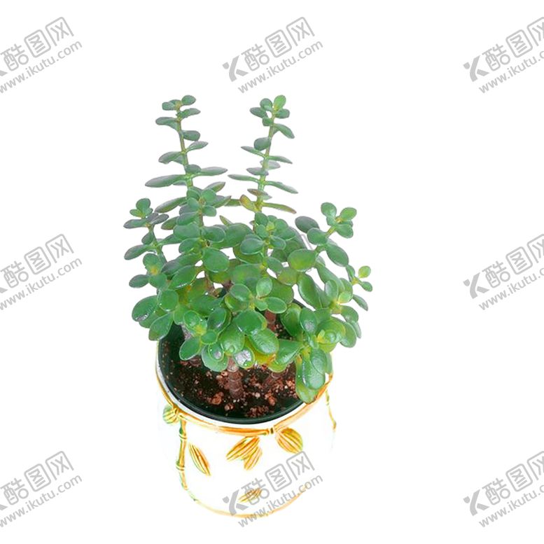 编号：48736109191403008888【酷图网】源文件下载-绿色相框