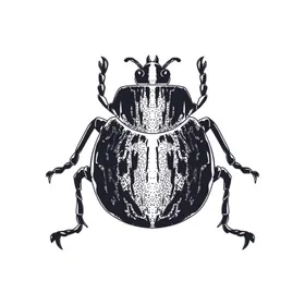 线描昆虫