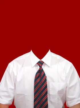 证件照男士商务照领带