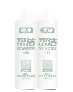 帮洁厕净900g