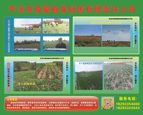 植保飞防