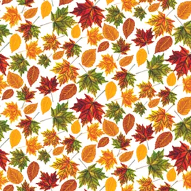 叶子花卉无缝图案