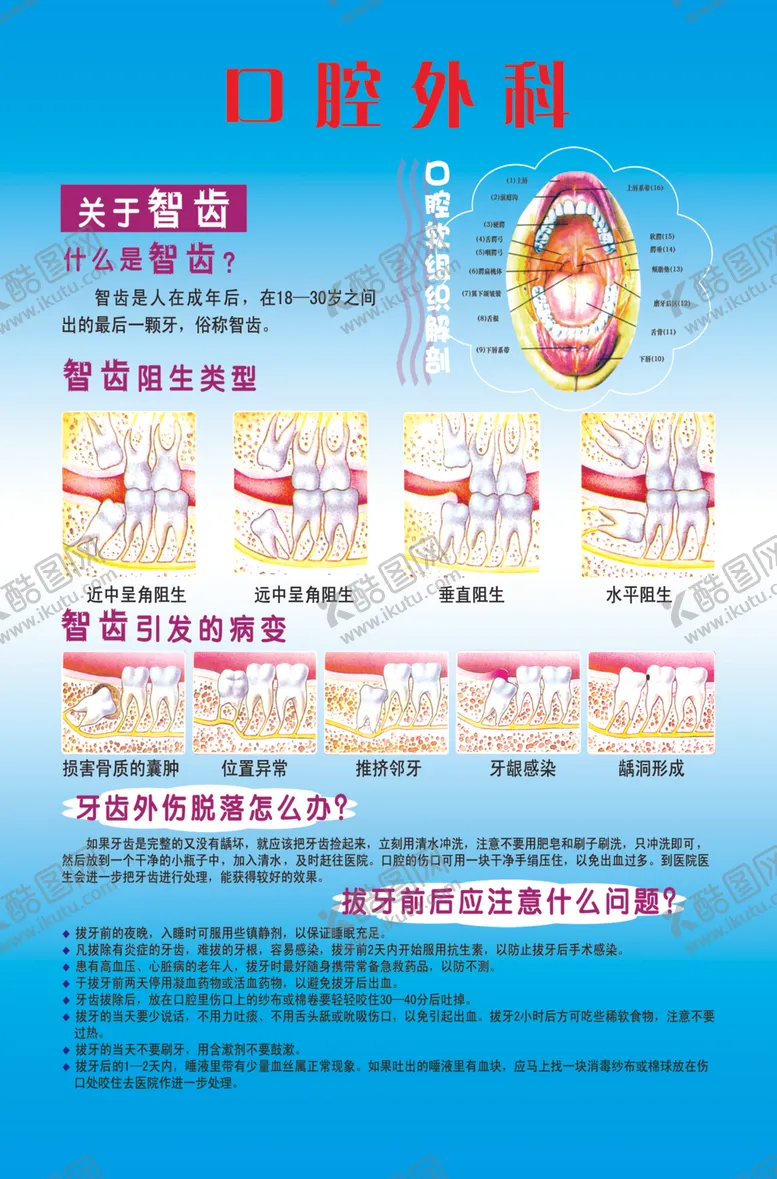编号：34588306281530041545【酷图网】源文件下载-口腔外科