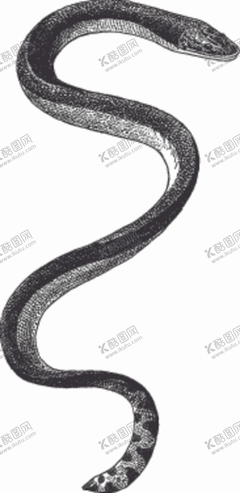 编号：29137809261647461072【酷图网】源文件下载-动物素描