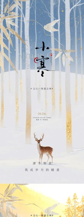 大寒小寒节气意境海报