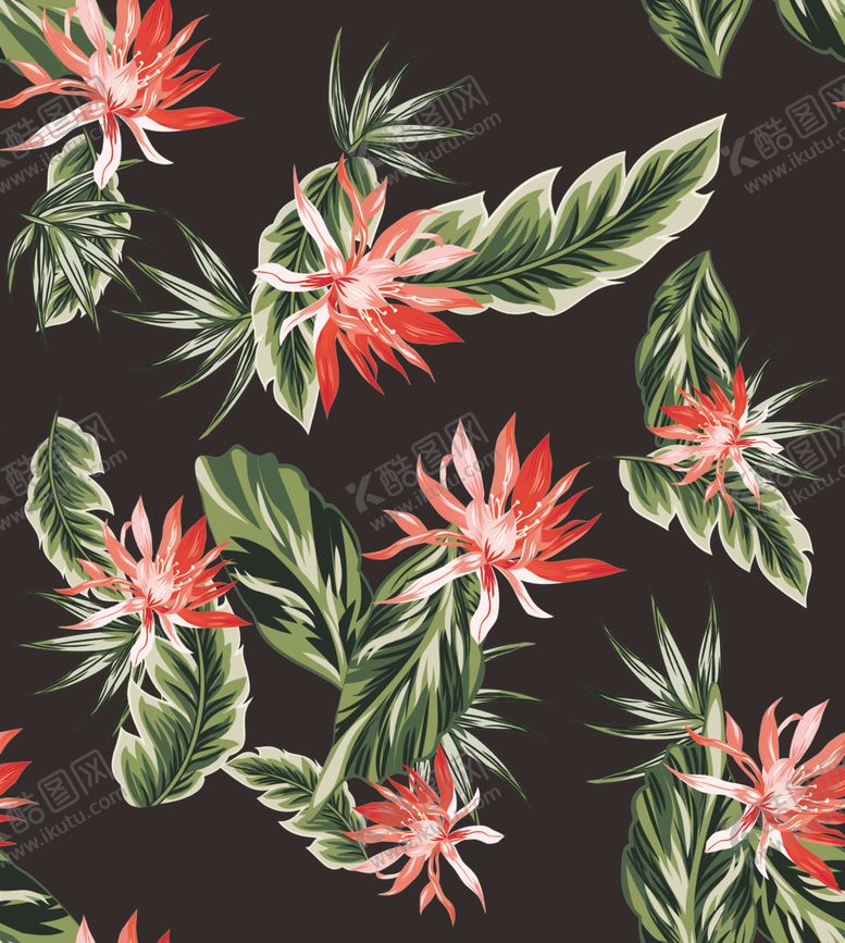 编号：63178409271316558046【酷图网】源文件下载-热带花卉