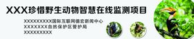 大鸟珍惜动物自然白鹤野生动物