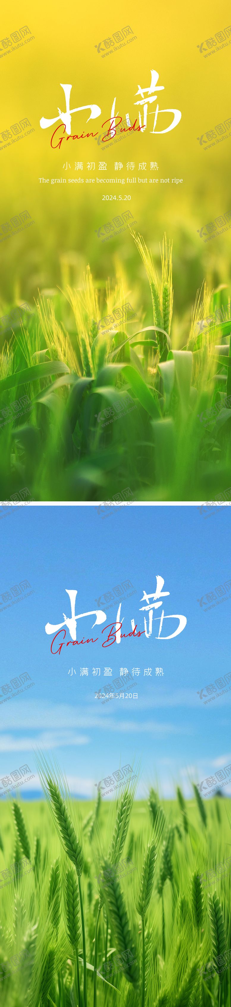 编号：39304506142254161518【酷图网】源文件下载-小满节气系列海报