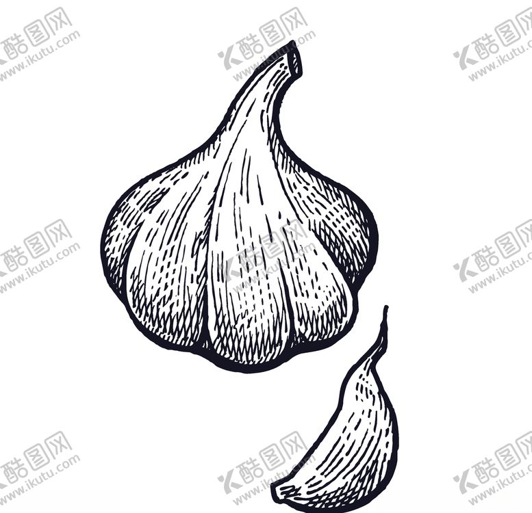 编号：76338009191052029737【酷图网】源文件下载-蔬菜