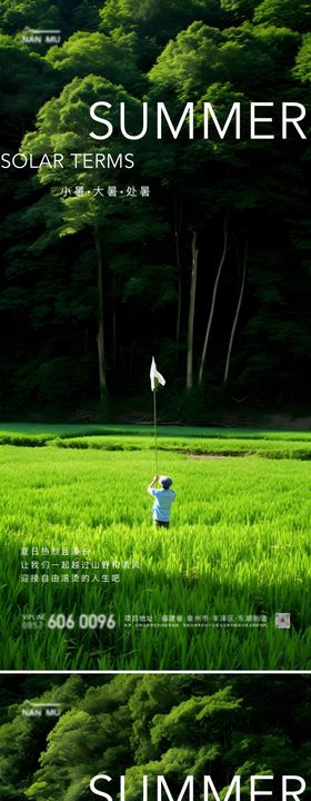 小暑地产大暑夏天喝茶茶