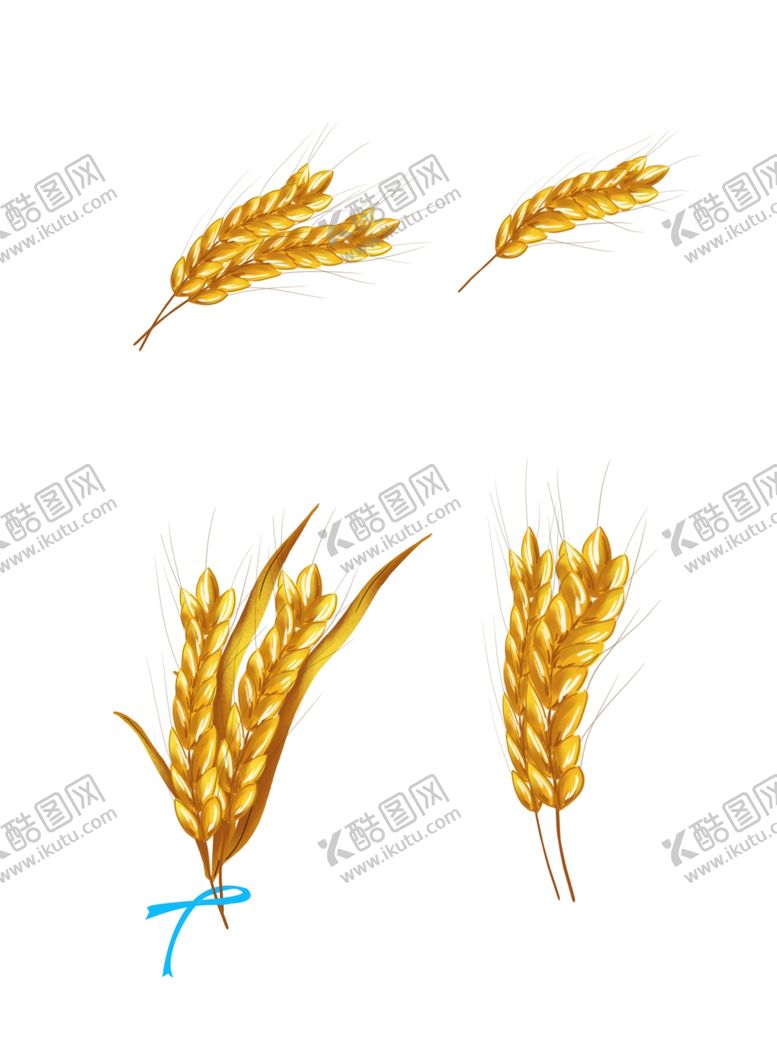 编号：29851306250734259827【酷图网】源文件下载-金黄小麦免扣素材