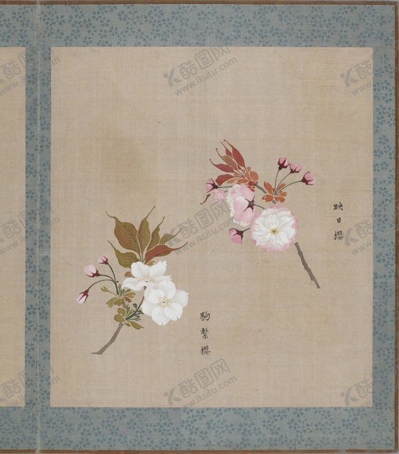 编号：44778109260031323131【酷图网】源文件下载-樱花