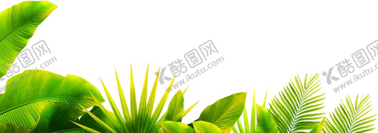 编号：42743611010757211480【酷图网】源文件下载-绿色植物