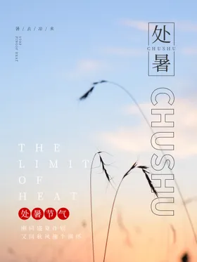 处暑设计稿微信飞机稿转发