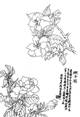 栀子花