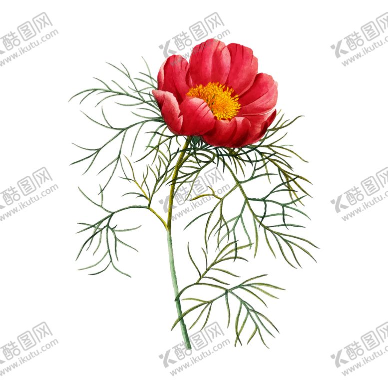 编号：42839907041638333217【酷图网】源文件下载-花卉插图